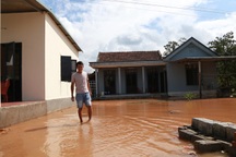 Cử tri bất bình việc thi công cao tốc gây nứt nhà, ngập úng