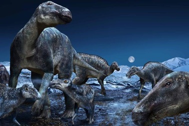 Bí mật về kích thước và trọng lượng khổng lồ của khủng long