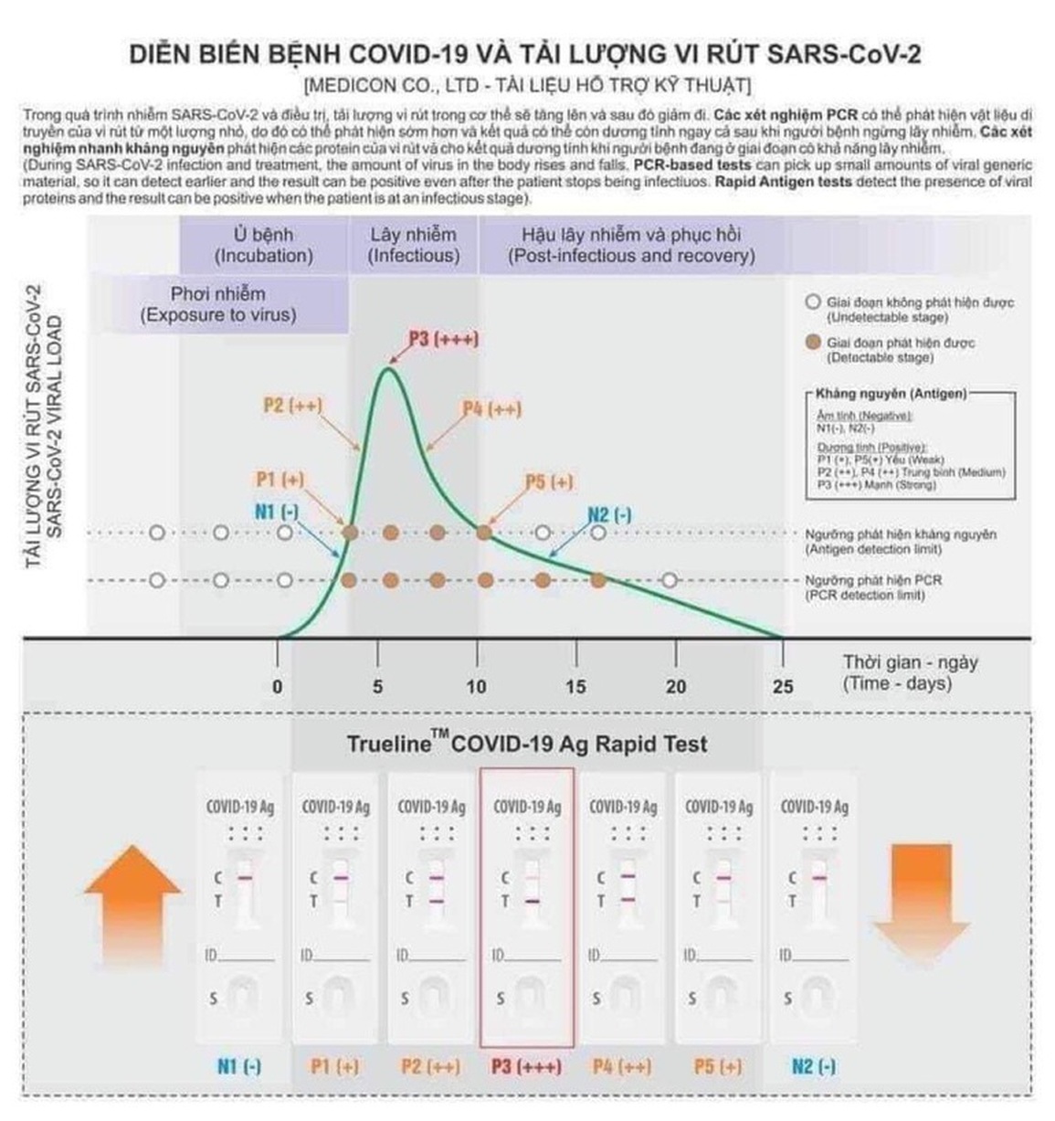 Test nhanh 2 vạch càng đậm chứng tỏ bệnh càng nặng? - 2 Test nhanh 2 vạch càng đậm chứng tỏ bệnh càng nặng? - 2