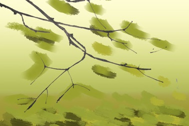 Tháng Chạp yêu thương