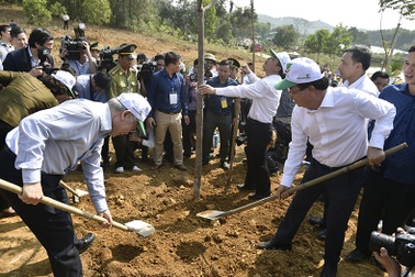 Tổng Bí thư, Chủ tịch nước Nguyễn Phú Trọng phát động Tết trồng cây