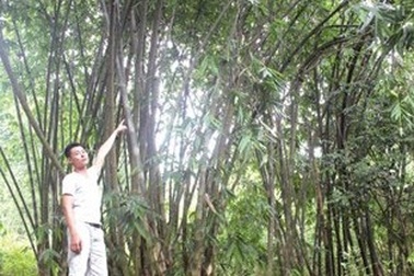 Chàng trai người Mường và tình yêu vô bờ bến với cò