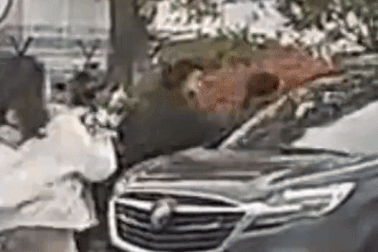 Cô gái cố lao vào ô tô để gặp thần tượng suýt gặp nạn