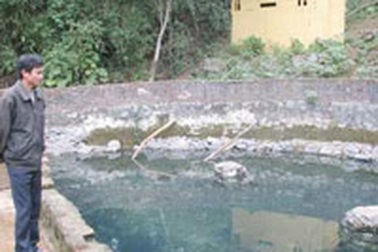 Người thanh niên tự xây “nhà máy” nước