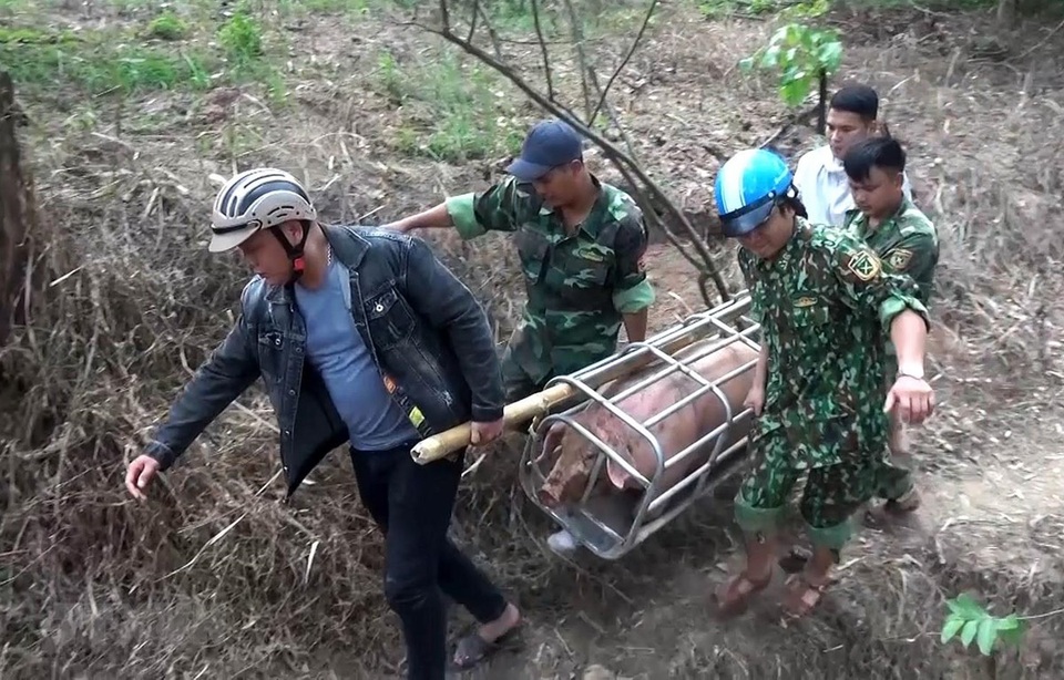 Bộ Nông nghiệp đề nghị ngăn chặn vận chuyển lợn trái phép qua biên giới - 1 Bộ Nông nghiệp đề nghị ngăn chặn vận chuyển lợn trái phép qua biên giới - 1