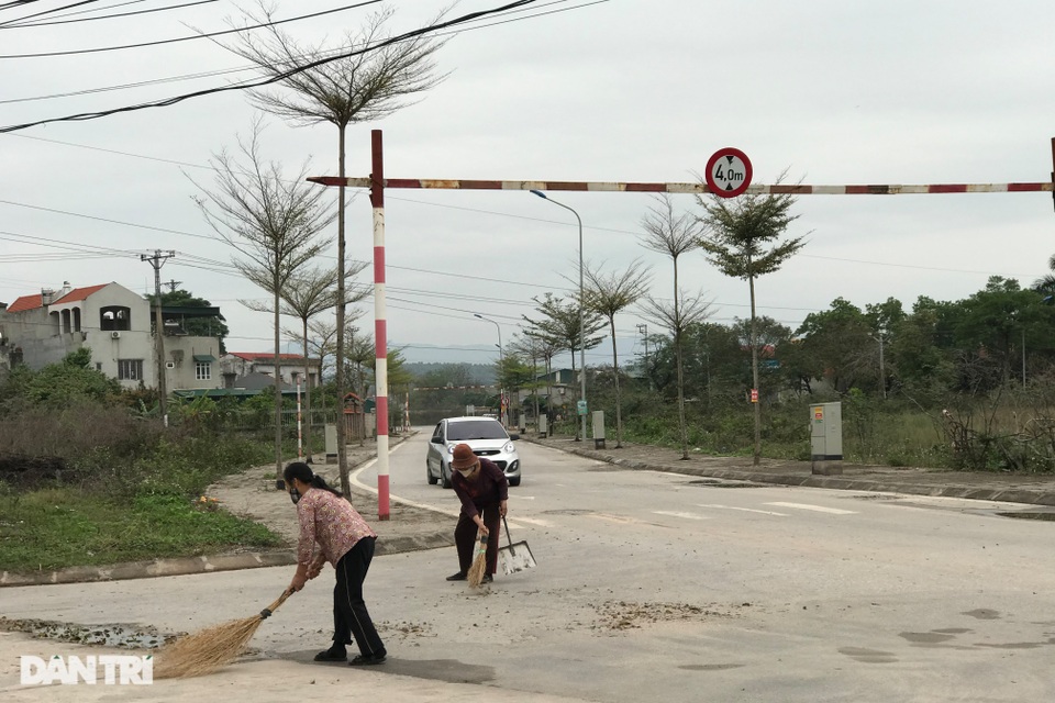 Người dân Chí Linh đón giao thừa muộn với hoa Covid chỉ có tại xứ sở 34 - 10 Người dân Chí Linh đón giao thừa muộn với hoa Covid chỉ có tại xứ sở 34 - 10