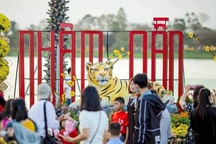 Tết năm nay, Huế đón du khách đông gấp 3 lần năm trước