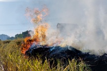 Hà Nội lại vào mùa đốt rơm, ngột ngạt đến tắc thở vì khói bụi