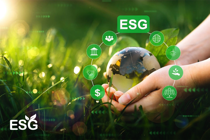 Doanh nghiệp Việt đang thực thi ESG ra sao để phát triển bền vững?