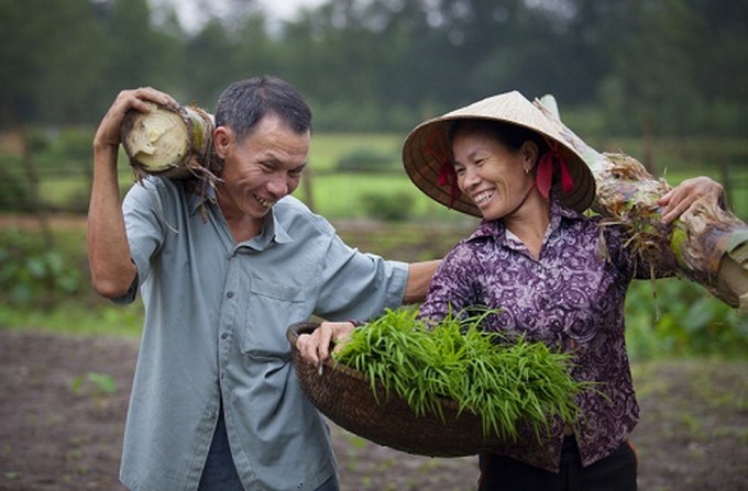 Cuộc sống giản đơn của vợ chồng người nông dân nông thôn.