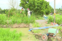 Người đàn ông bị điện giật tử vong khi bơm nước