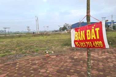 Ồ ạt rao cắt lỗ nhưng chủ bất động sản chỉ bán giá cắt lãi