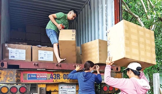 Mo cau cả làng vứt vạ vật, nay thành hàng sang xuất Mỹ, Canada - 7 Mo cau cả làng vứt vạ vật, nay thành hàng sang xuất Mỹ, Canada - 7