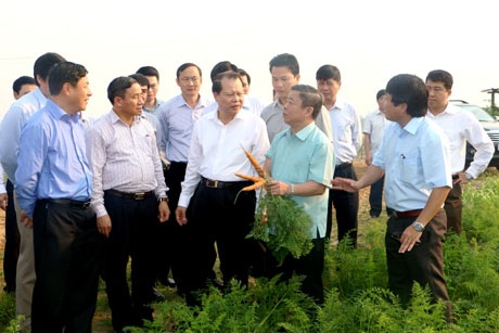 Điều kỳ diệu đến từ những giọt mồ hôi