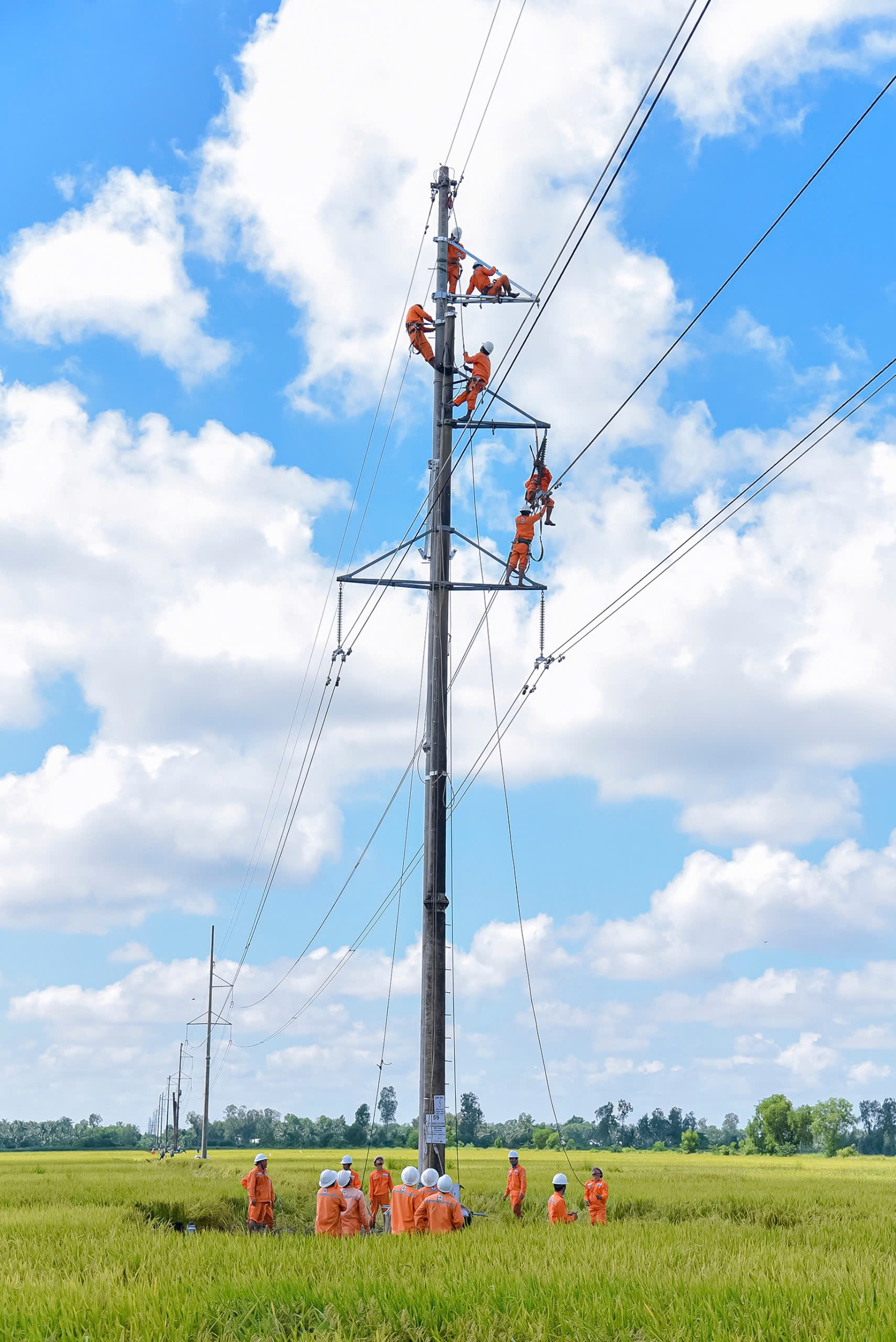 Nỗ lực thi công nâng cấp đường dây 110kV Rạch Giá 2 - Minh Phong