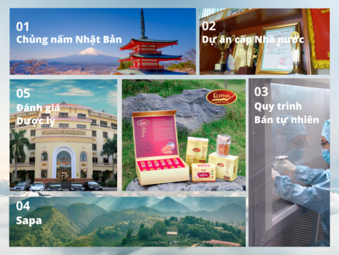 Thực hư về chất lượng đông trùng hạ thảo tràn lan trên thị trường - 5 Thực hư về chất lượng đông trùng hạ thảo tràn lan trên thị trường - 5