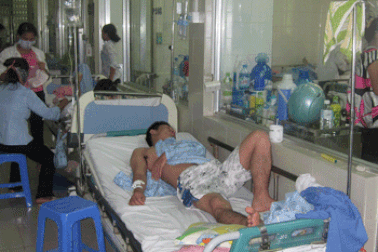 Phân biệt sốt xuất huyết và cúm A/H1N1