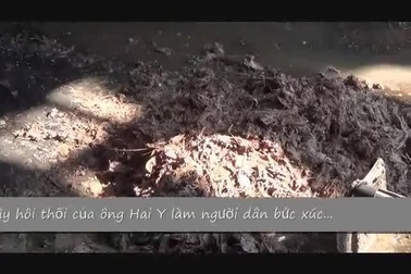 Cận cảnh xưởng chế biến cá biển chết gây hôi thối khiến người dân bức xúc.