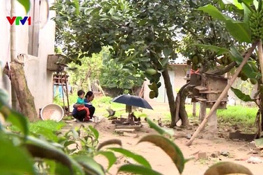 Nhiều người dân không mua bảo hiểm y tế hộ gia đình