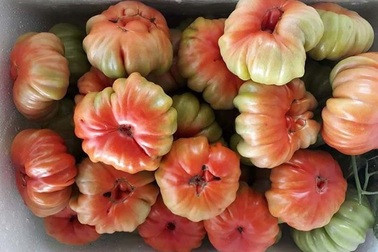 Chán rau quả nhập khẩu, dân Việt săn lùng đồ rừng độc lạ thưởng thức