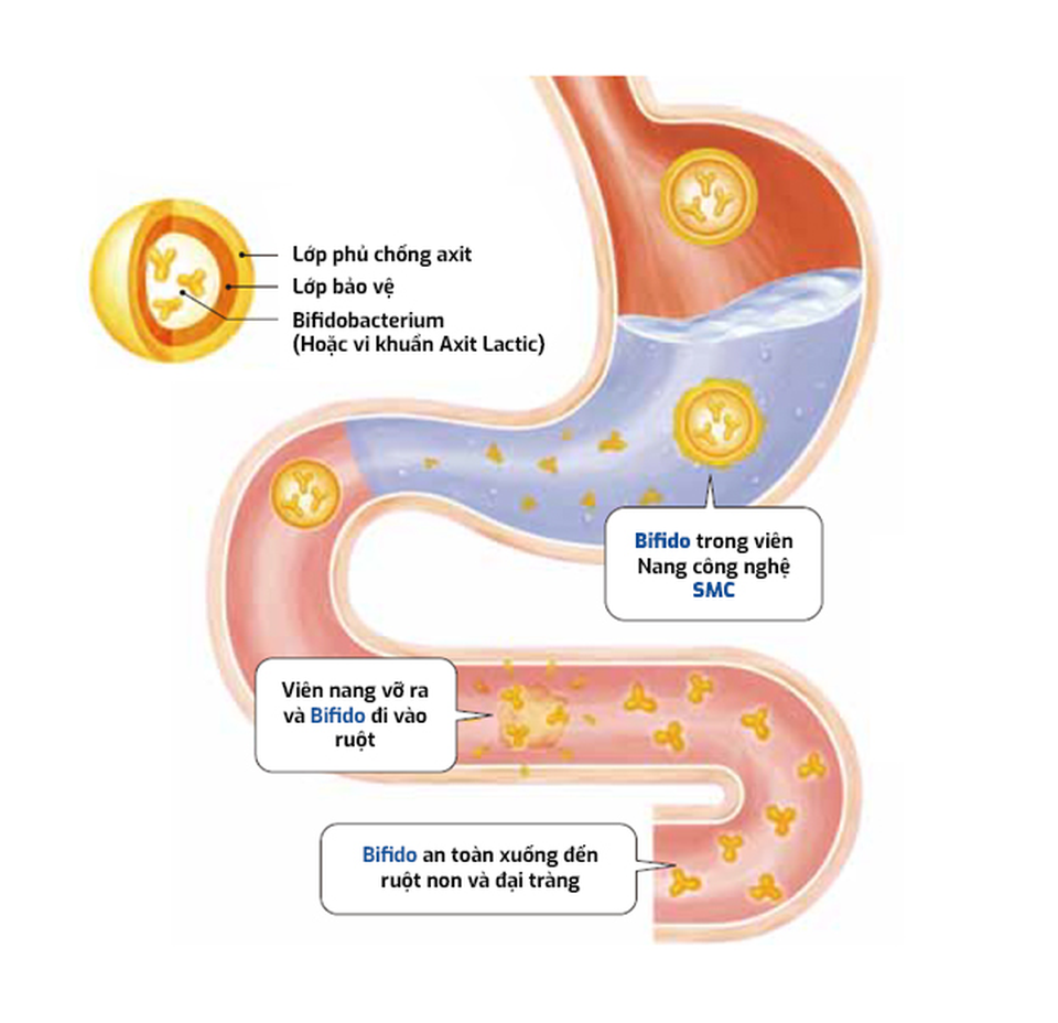 3 bí quyết “vàng” để không bị rối loạn tiêu hóa ngày Tết - 2