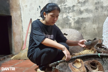 Bố mất, mẹ bị bệnh hiểm nghèo, nữ sinh phân vân trước ngưỡng cửa đại học