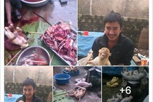 Phẫn nộ với hình ảnh thanh niên khoe cảnh giết hàng loạt khỉ trên Facebook