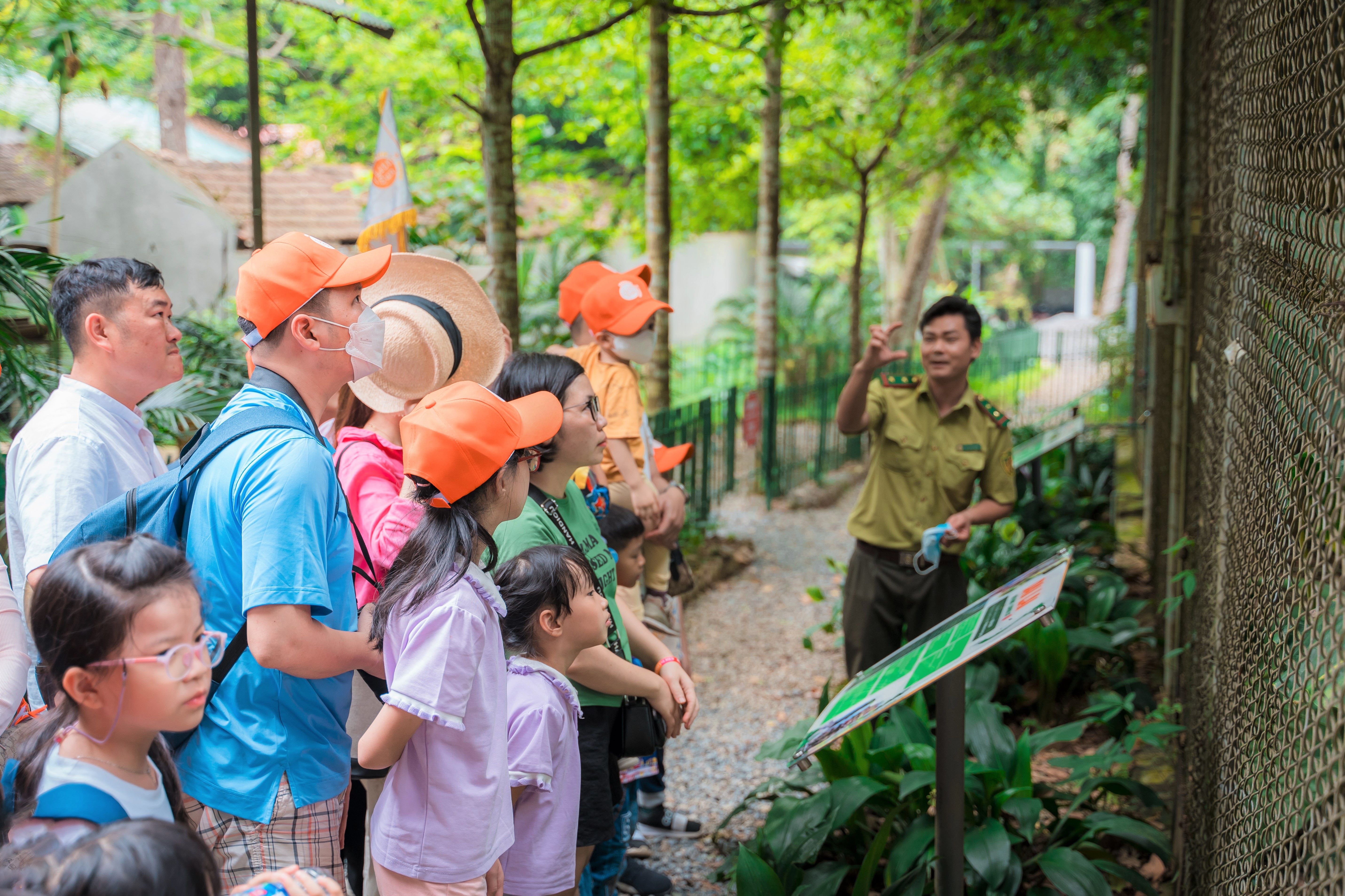 Ratu Primat di pusat menyelamat terbesar di Vietnam - 12 Nữ hoàng linh trưởng trong trung tâm cứu hộ lớn nhất Việt Nam - 12