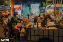 Hai vợ chồng già cùng 3 chú chó sống lang thang, lượm ve chai mưu sinh