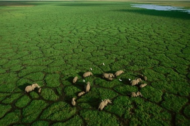 Những bức ảnh đẹp ngỡ ngàng khi chụp từ trên cao