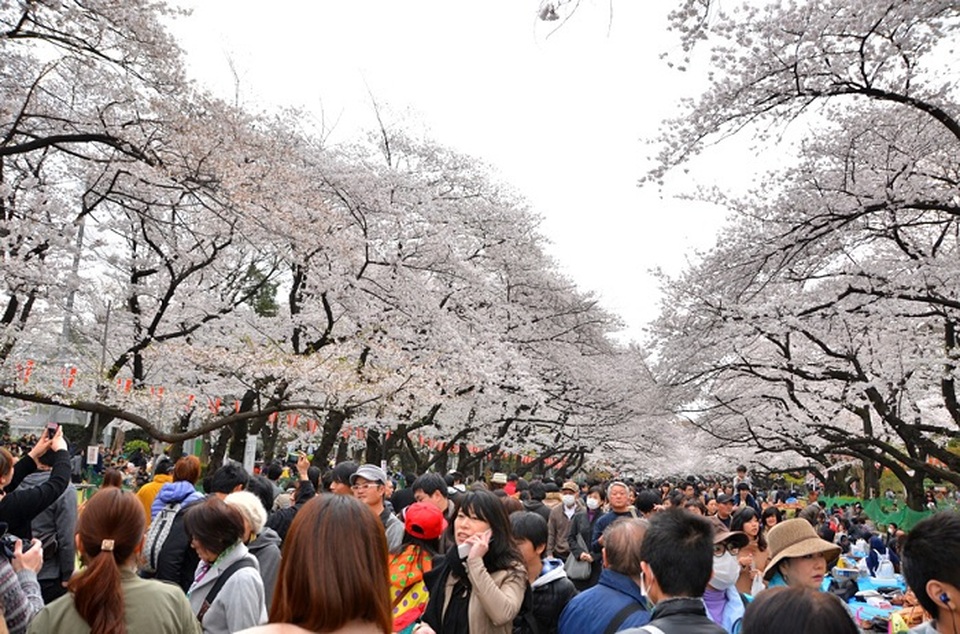 Những lễ hội mùa xuân độc đáo tại Tokyo - 4 Những lễ hội mùa xuân độc đáo tại Tokyo - 4