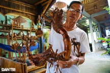 Lão gàn "hô biến" gốc tre thành rồng bay, phượng múa