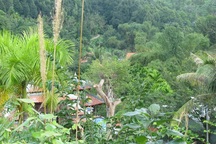 Xử lý “biệt phủ” của đại gia vàng thuộc thẩm quyền của Đà Nẵng