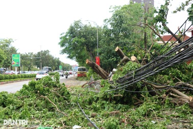 Lượng rác thải "khổng lồ" sau bão Kajiki