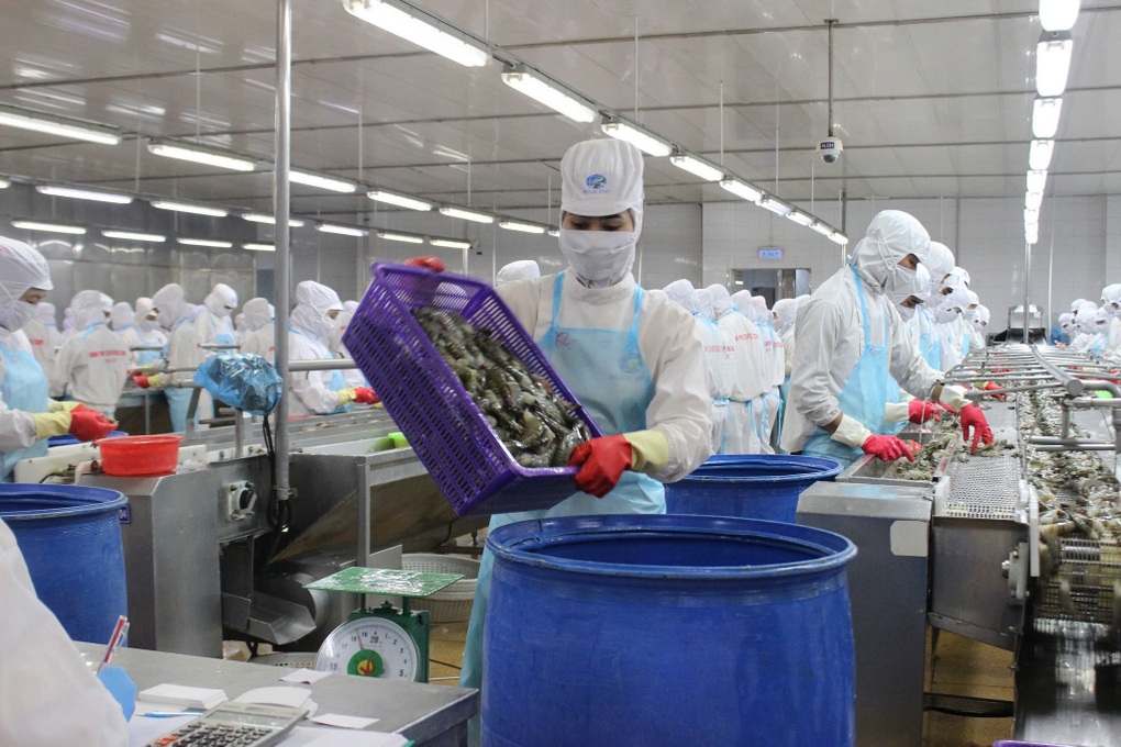 Bất chấp nhiều áp lực, xuất khẩu thủy sản vẫn tăng trưởng 2 con số - 1