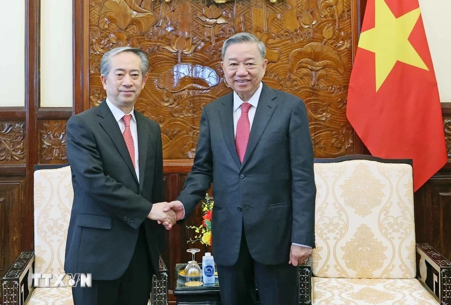 Chủ tịch nước Tô Lâm tiếp Đại sứ Trung Quốc Hùng Ba - 1