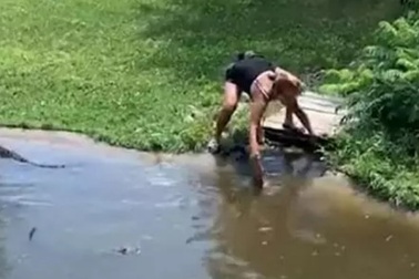 Tiếc ví tiền đánh rơi, hai mẹ con trèo vào hồ cá sấu vớt lại