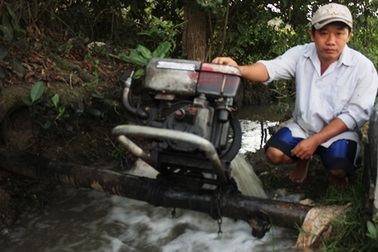 Nông dân trắng đêm bơm nước cứu lúa