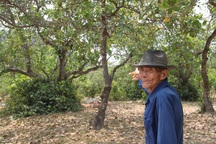 Bình Định: Thiếu đất sản xuất, dân “xin” lại đất dự án treo