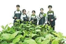 Học sinh ứng dụng công nghệ khai thác "kho vàng" dưới tán rừng