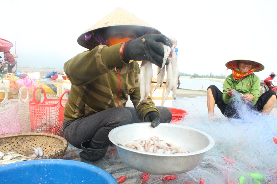 Hà Tĩnh: Mùa cá cháo bãi ngang những ngày cuối năm 2020 - 6 Hà Tĩnh: Mùa cá cháo bãi ngang những ngày cuối năm 2020 - 6