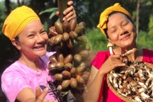 Cuộc sống nông dân của "nữ hoàng cảnh nóng" Kiều Trinh ở nhà vườn 5.000m2