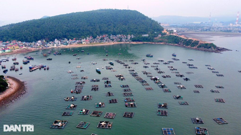 Vẻ đẹp hoang sơ ở Bãi Đông Thanh Hóa, cứ đến nơi là có ảnh đẹp - 2 Vẻ đẹp hoang sơ ở Bãi Đông Thanh Hóa, cứ đến nơi là có ảnh đẹp - 2