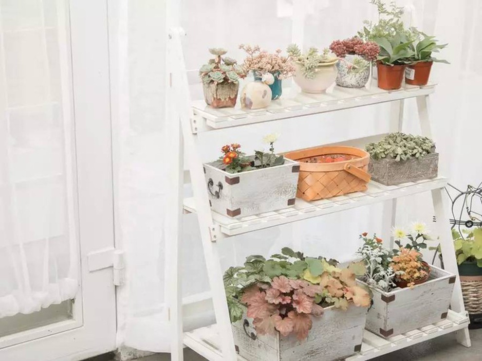 Cô gái 19 tuổi bỏ phố về quê cải tạo nhà vườn rộng 6.000m2 tặng bố mẹ - 5 Cô gái 19 tuổi bỏ phố về quê cải tạo nhà vườn rộng 6.000m2 tặng bố mẹ - 5