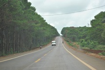 Đường Hồ Chí Minh đoạn qua Tây Nguyên chính thức được thông xe