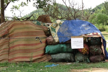 2 tấn xương động vật thối rữa trong nghĩa trang 