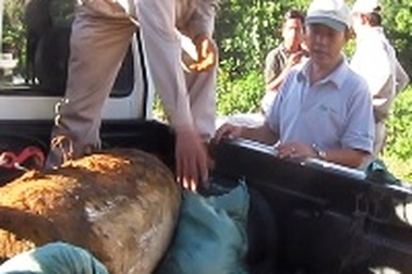 Phát hiện quả bom “khủng” nặng trên 300 kg