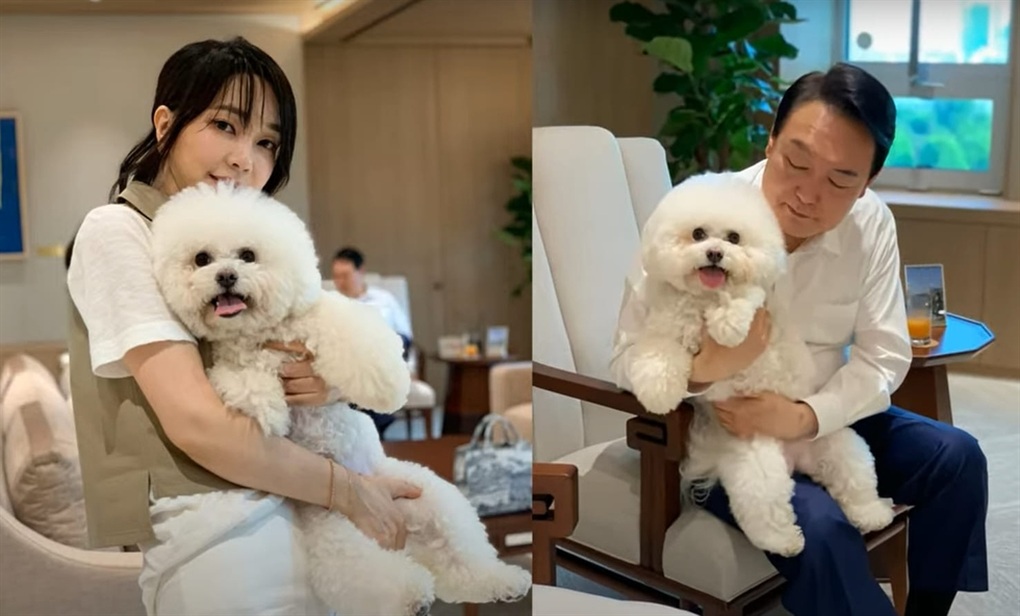 Đệ nhất phu nhân Hàn Quốc kêu gọi ngừng ăn thịt chó - 1 Đệ nhất phu nhân Hàn Quốc kêu gọi ngừng ăn thịt chó - 1