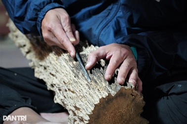 Cận cảnh khúc gỗ "trăm năm có một", được định giá tiền tỷ