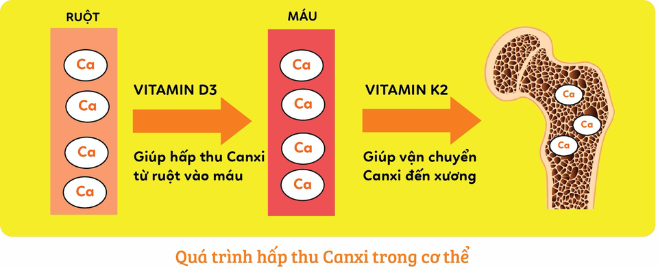 Vitamin K2 có thật sự cải thiện chiều cao cho trẻ? - 2 Vitamin K2 có thật sự cải thiện chiều cao cho trẻ? - 2